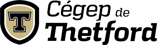 Cégep de Thetford